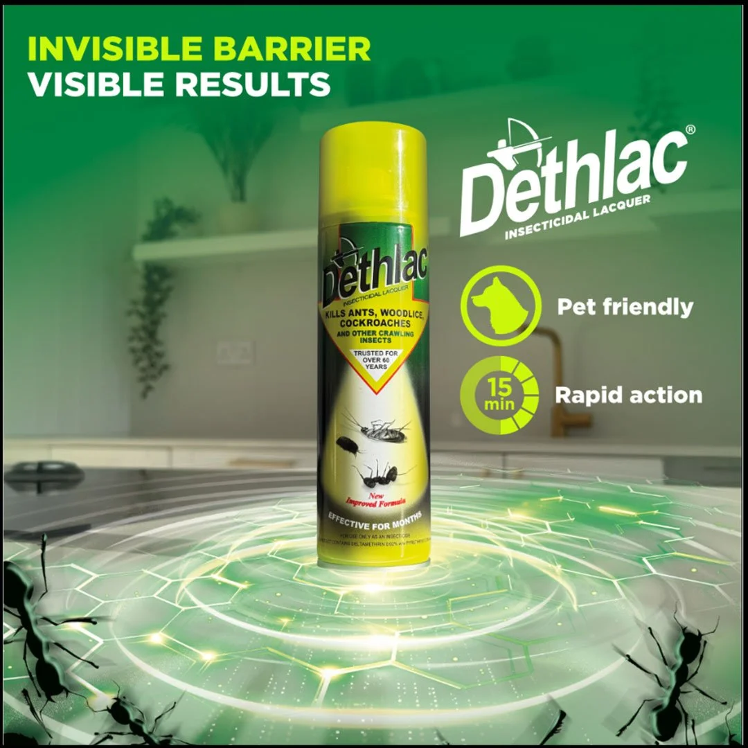 Dethlac Insecticidal Lacquer Spray 250ml
