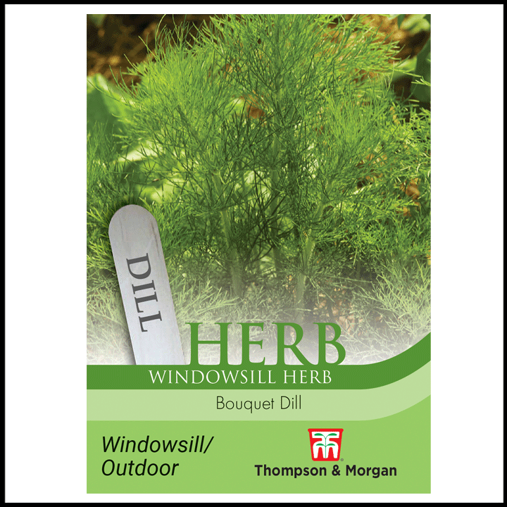 Herb - Bouquet Dill