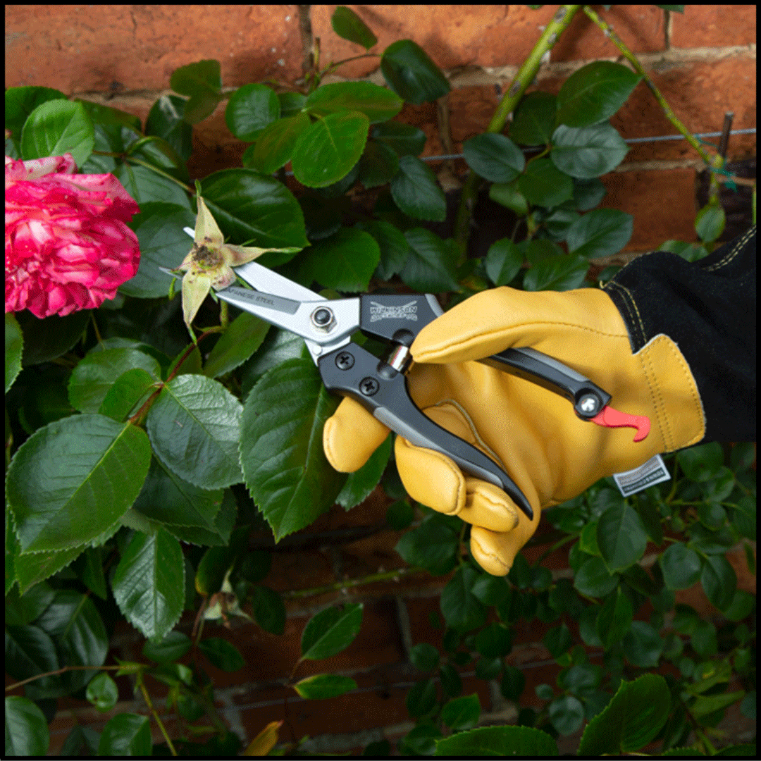 Wilkinson Straight Pruning Snip