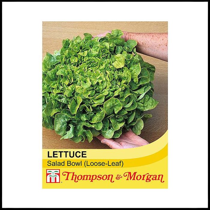 Lettuce-'Salad-Bowl'-(Loose-Leaf)---Seeds.jpg