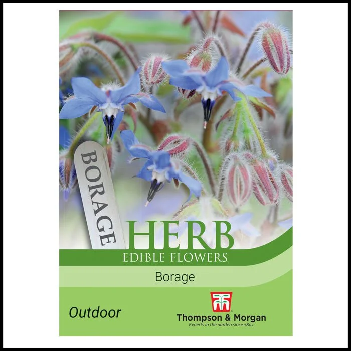 Herb - Borage