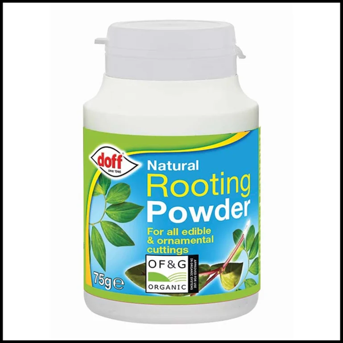 Doff-Natural-Rooting-Powder-75g.png