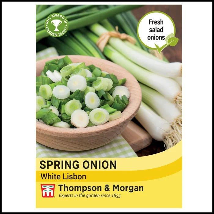 Spring Onion - White Lisbon