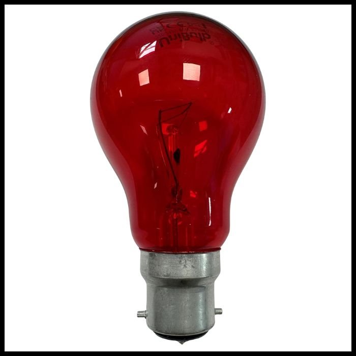 Status GLS BC 60W Fireglow Bulb  (2).jpg