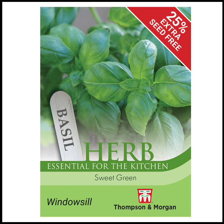 Herb - Basil Sweet Green