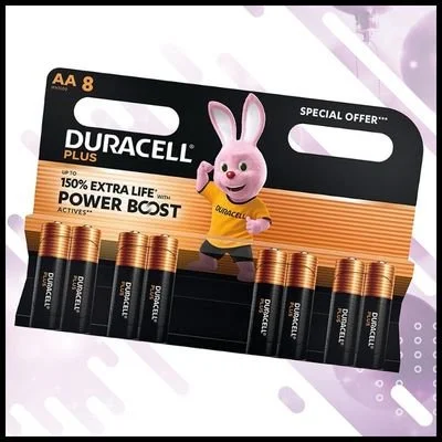 Duracell+ AA Batteries (8)