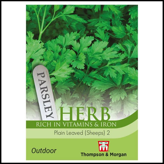 Herb - Parsley Plain Leaved (Sheeps) 2