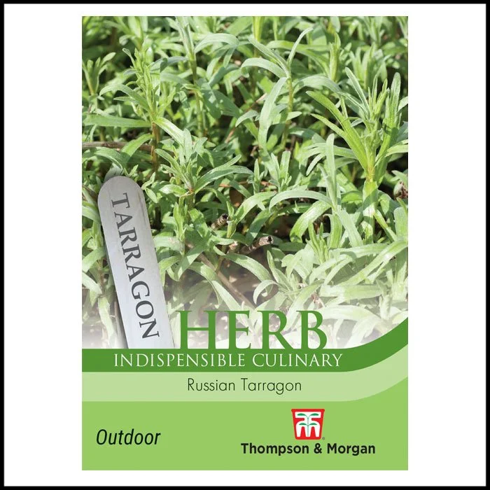 Herb - Russian Tarragon