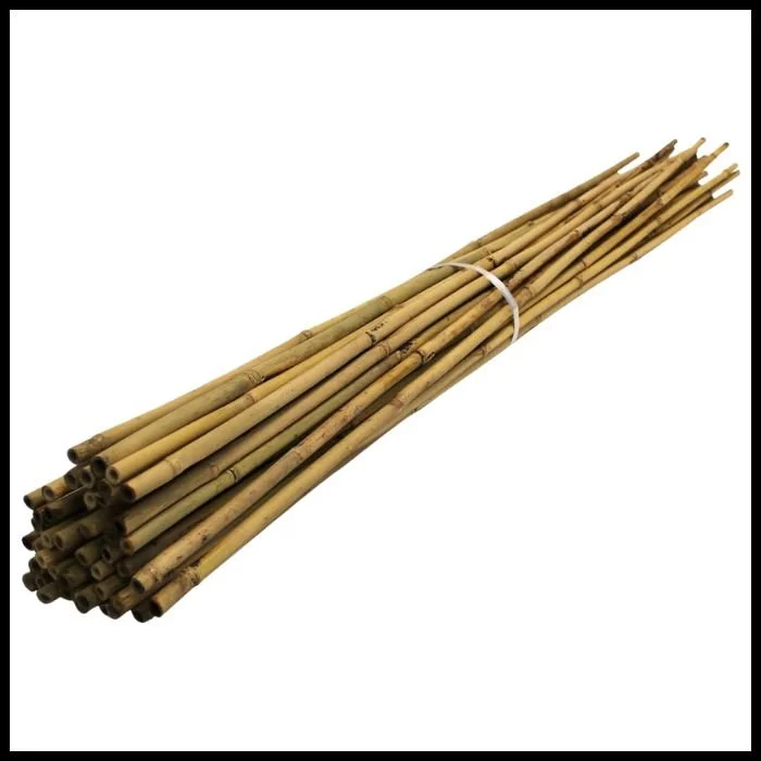 Bamboo Canes.jpg (Copy)