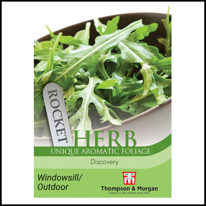 Herb - Rocket Discovery