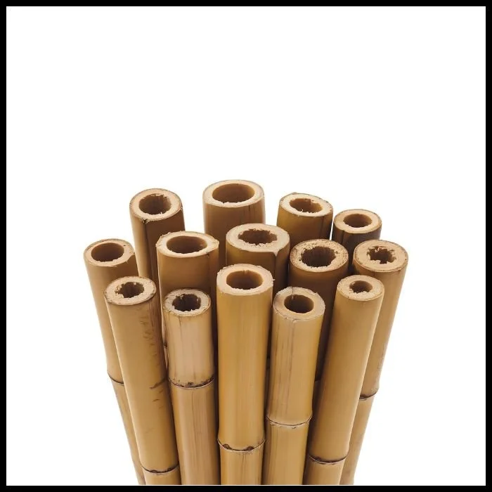 Bamboo Canes (1).jpg (Copy)