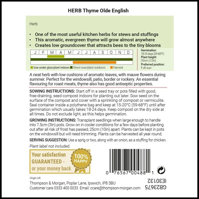 Herb-Thyme-Olde-English1.jpg