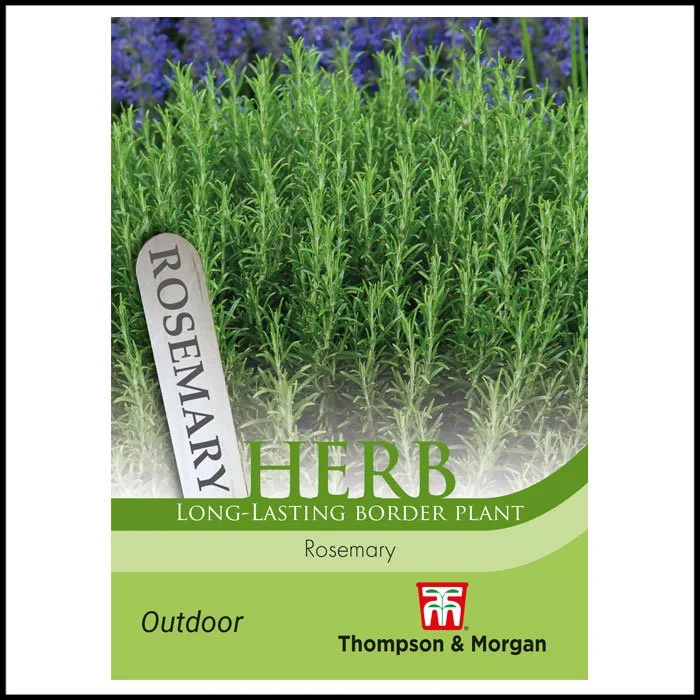 Herb - Rosemary