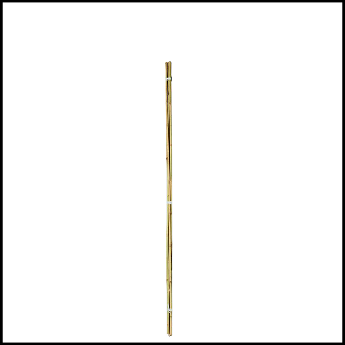 KingFisher 4ft Garden Canes (20)