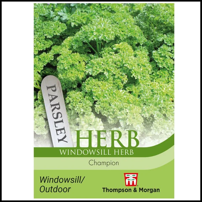 Herb - Parsley Champion Curled