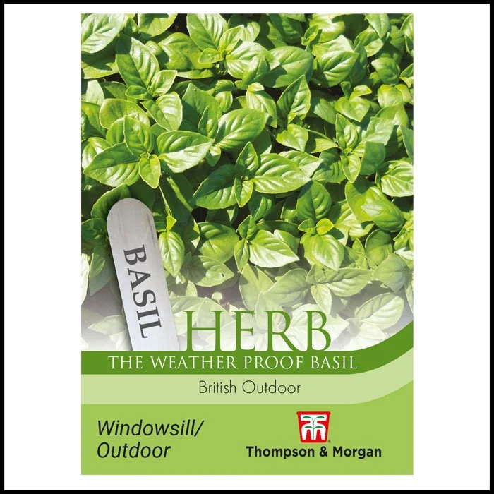 Herb - Basil British Outdoor