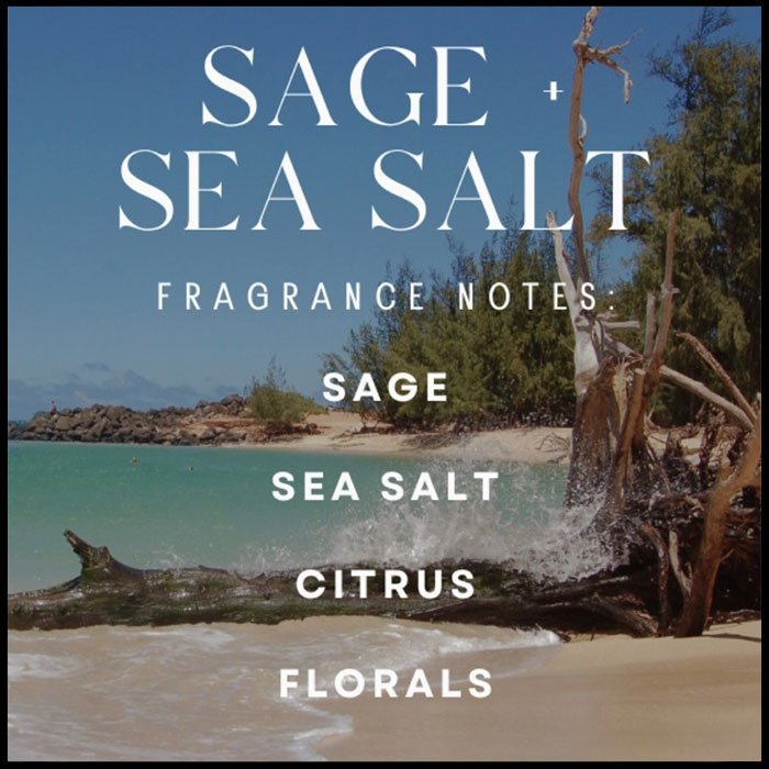 CBS Sage & Sea Salt Soy Candle 120ml