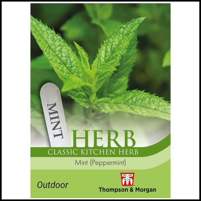 Herb - Peppermint
