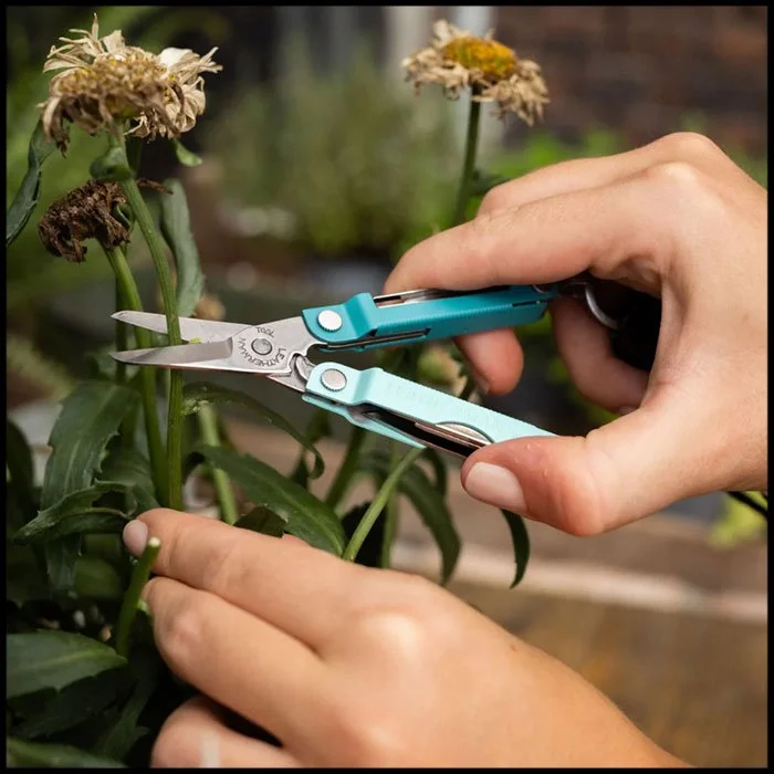 Leatherman-Micra-Multi-Tool---Parakeet.jpg2.jpg