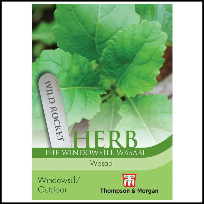 Herb - Wild Rocket Wasabi