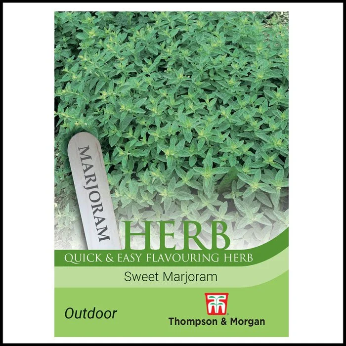 Herb - Sweet Marjoram