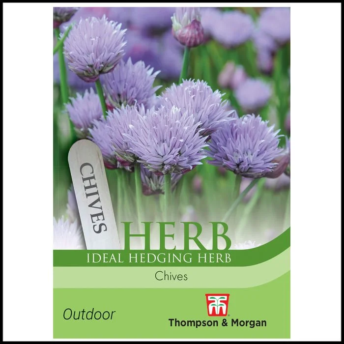 Herb - Chives