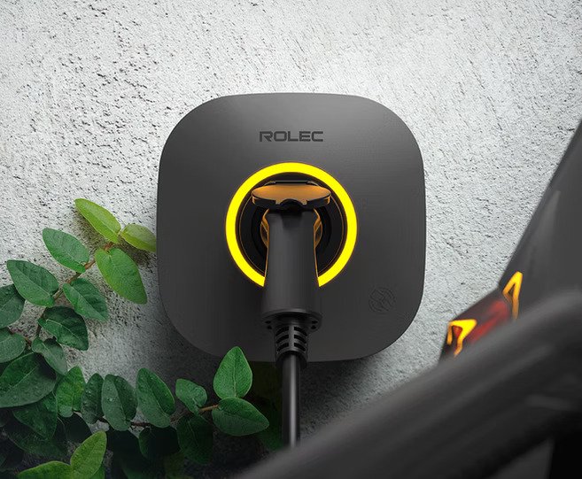 Close-up of an electric vehicle charging station with a black plug connected, mounted on a textured gray wall, surrounded by green leaves.