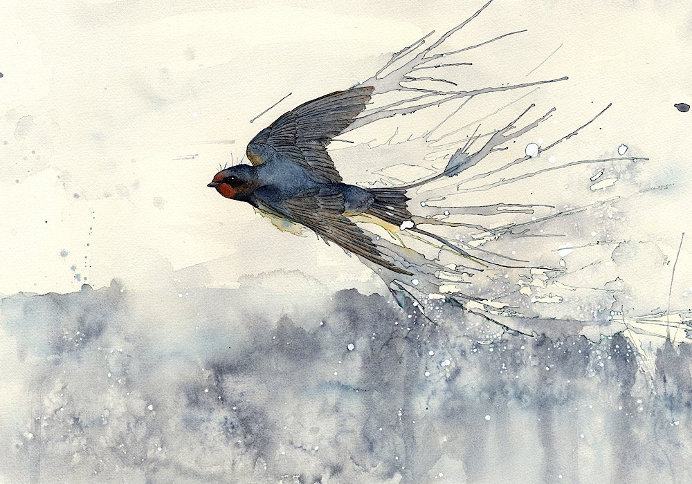 Speed - original artwork available - click to find in the shop