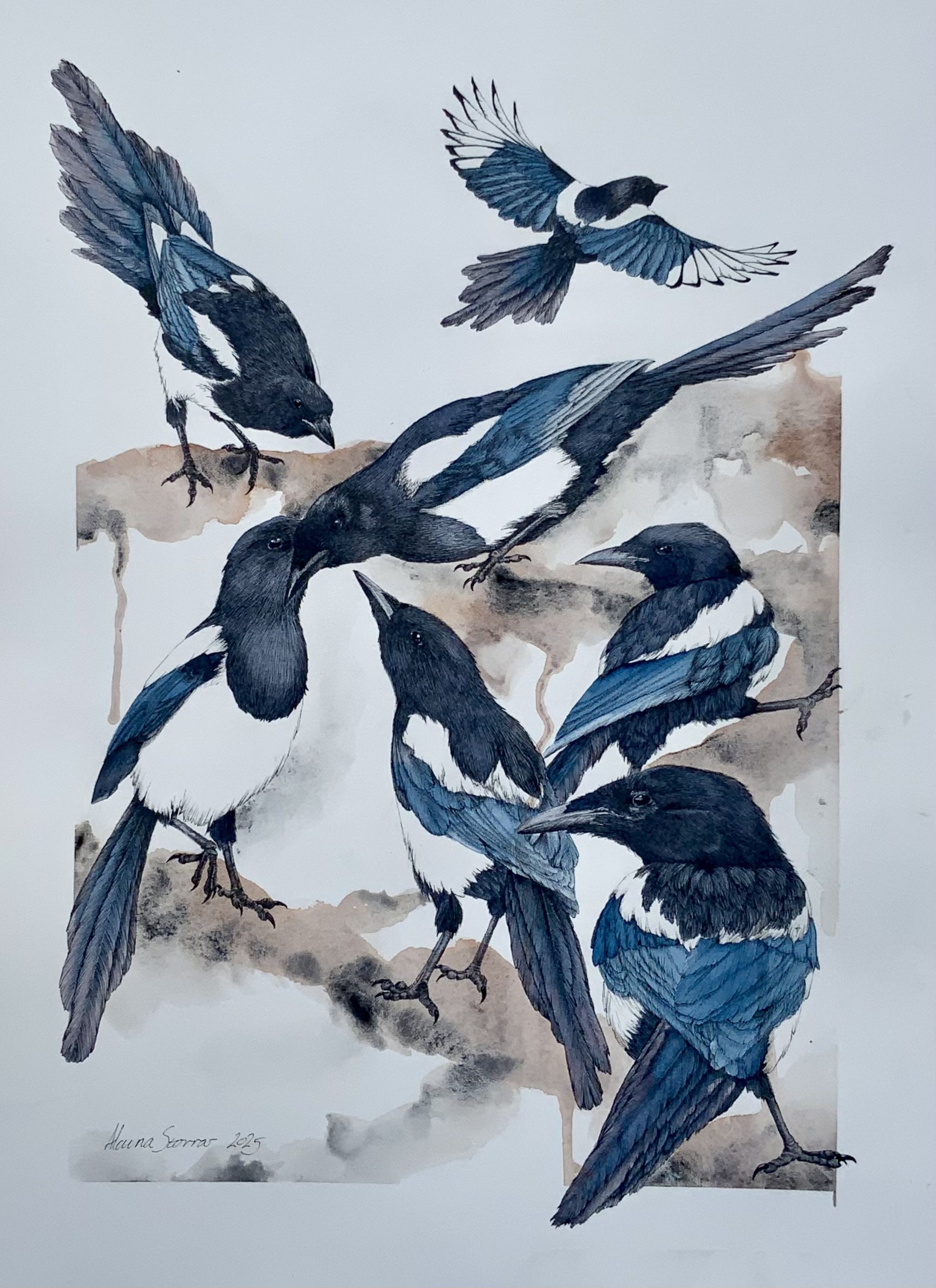 Seven For a Secret - limited prints available - click to find in the shop