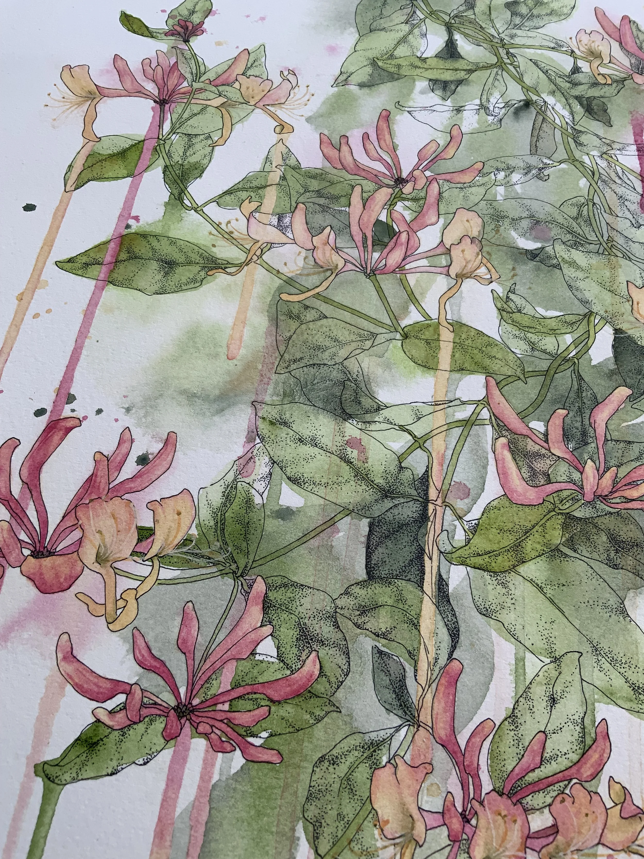 Garden Memories