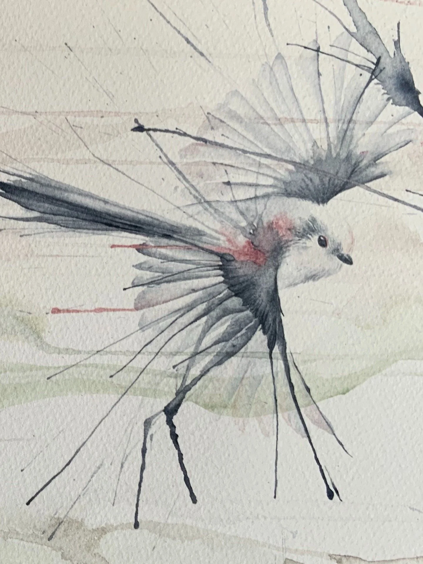 Long Tailed Tits Book