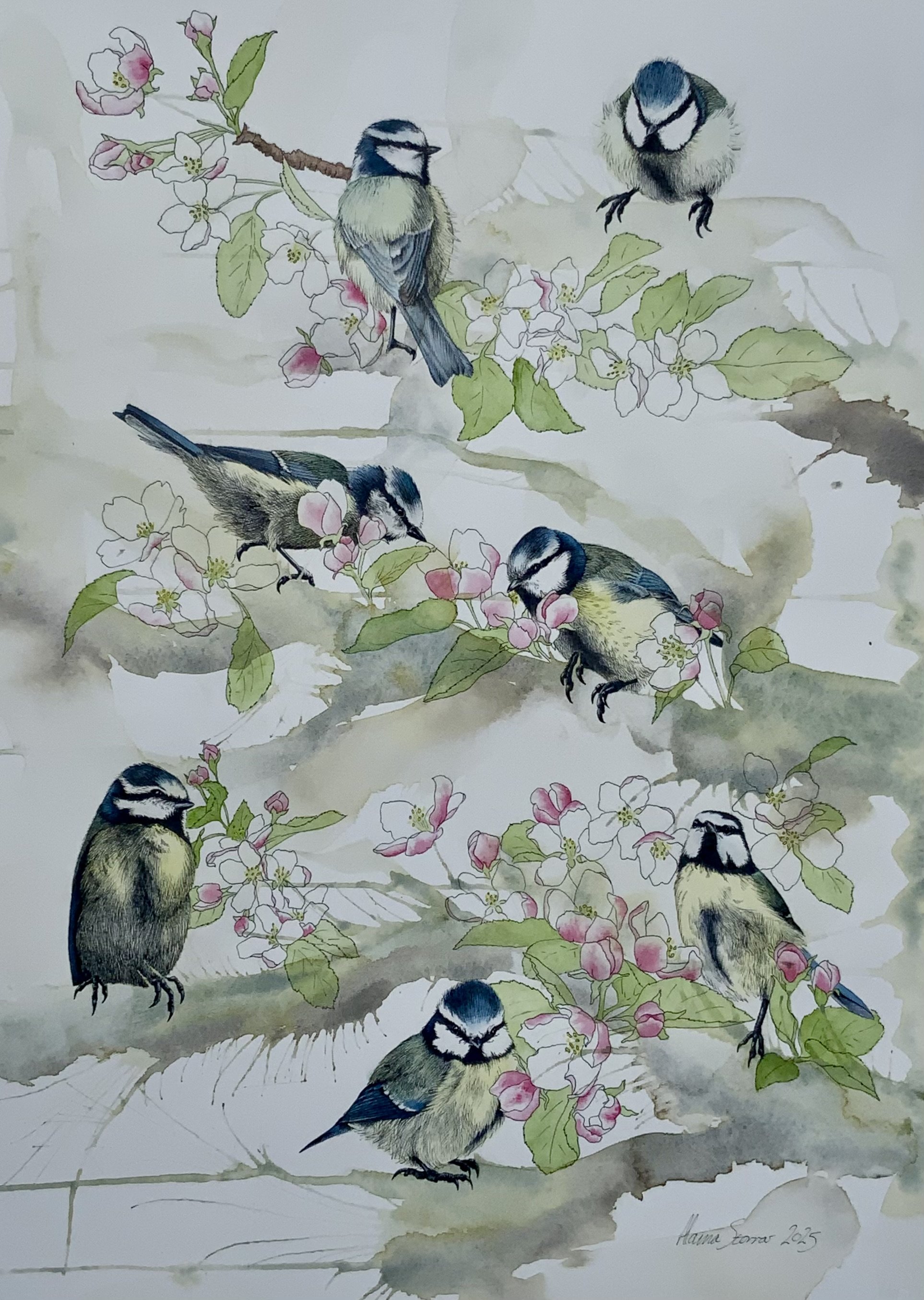 Bluetits and Blossom - original artwork available - click to find in the shop