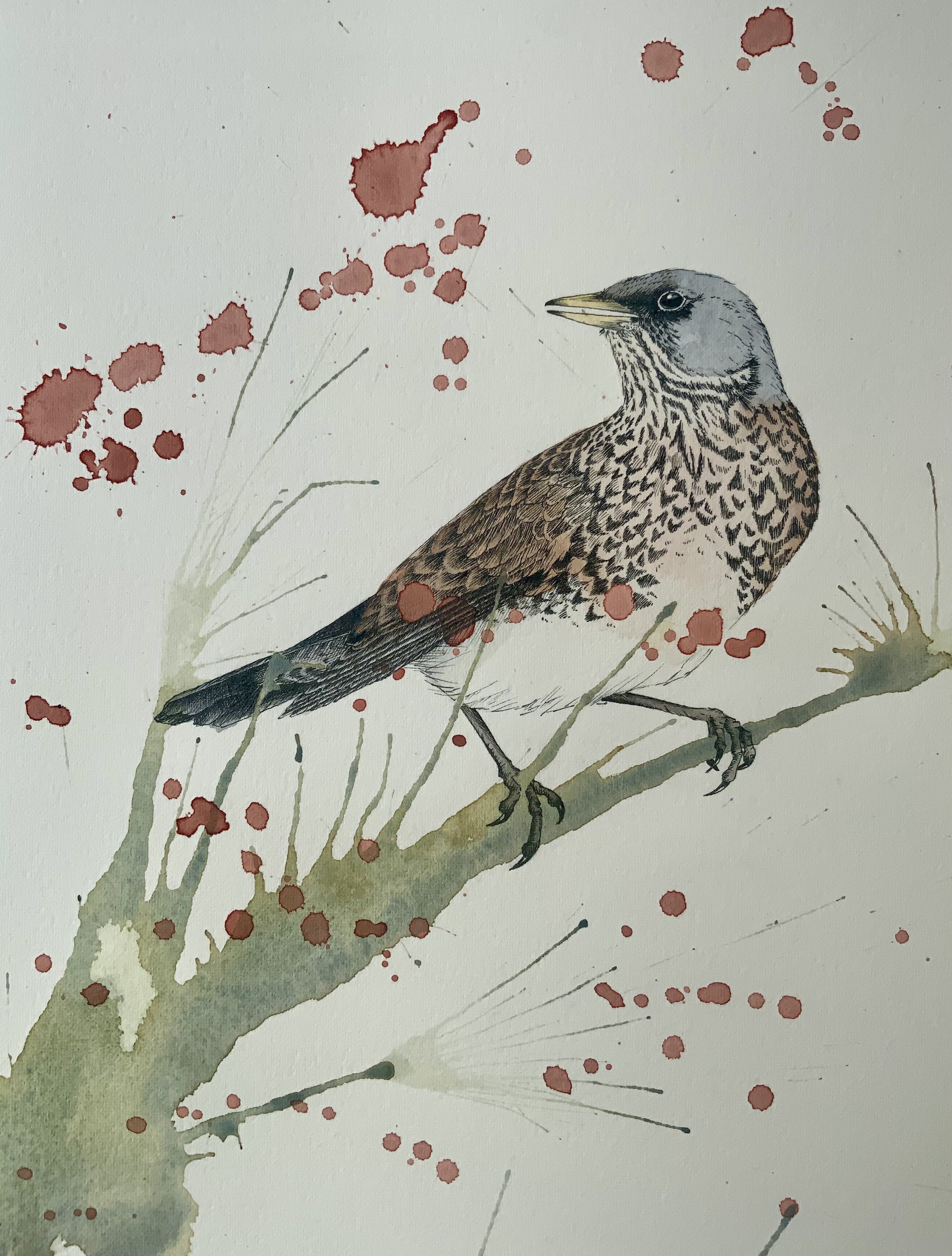 Fieldfare - currently showing at Abbey Galleries, Tewkesbury