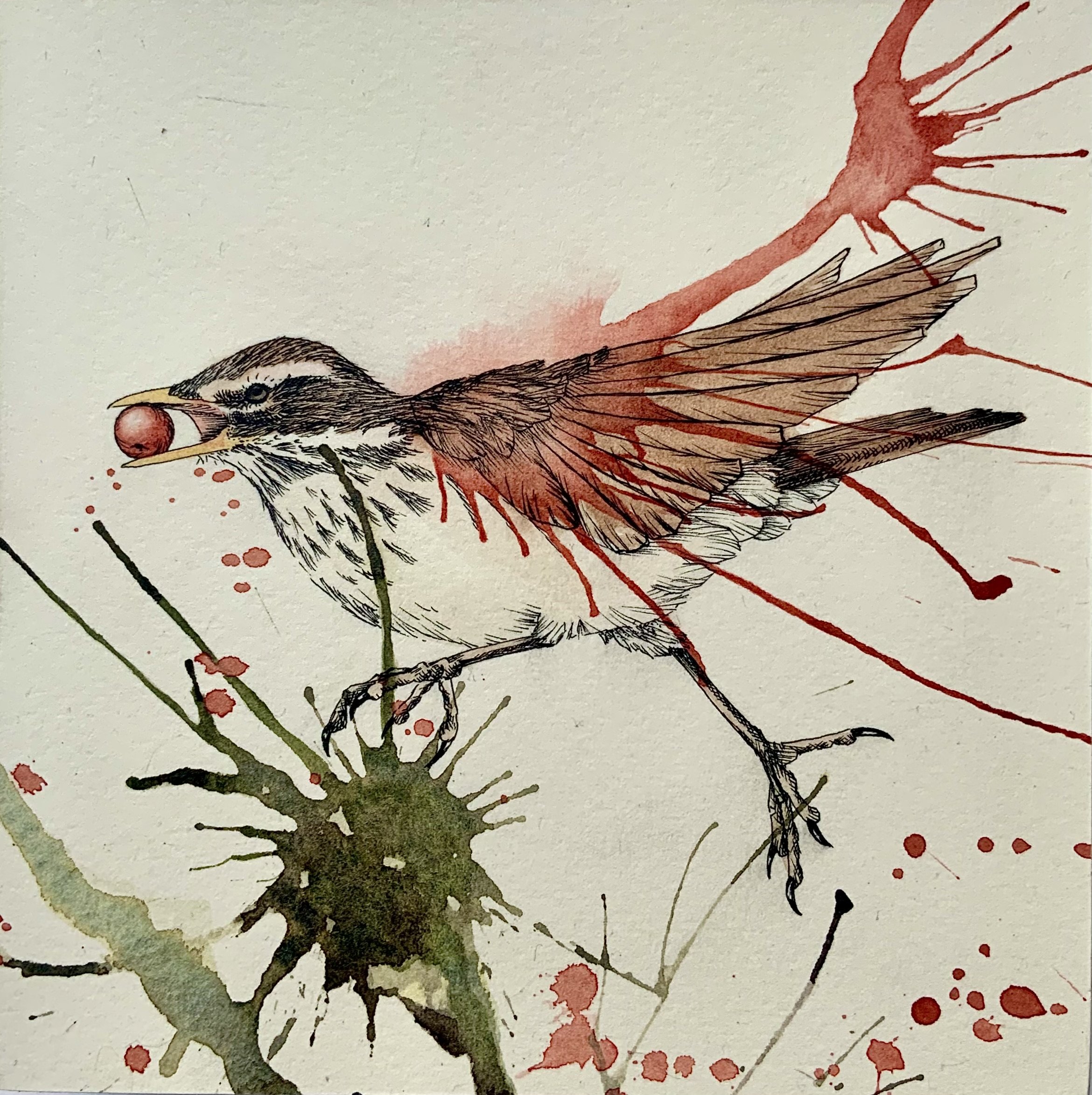 Redwing - original artwork available - click to find in the shop