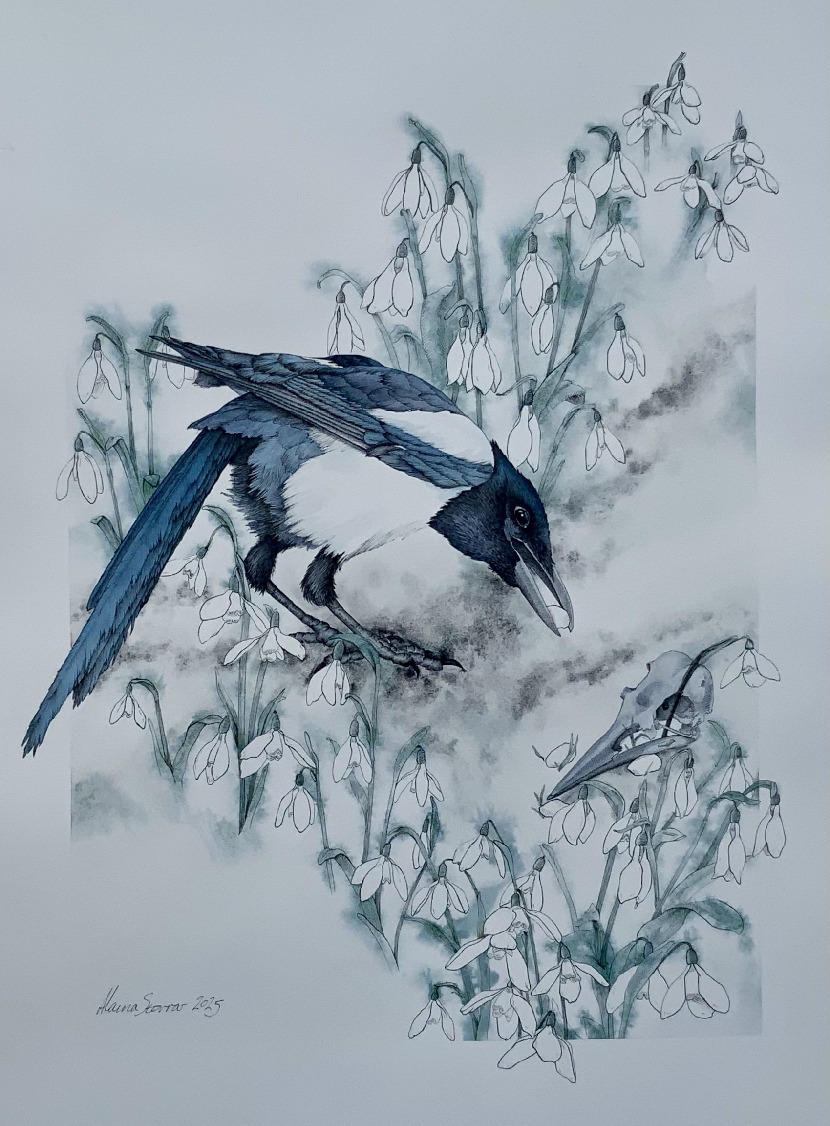 One For Sorrow - limited prints available - click to find in the shop