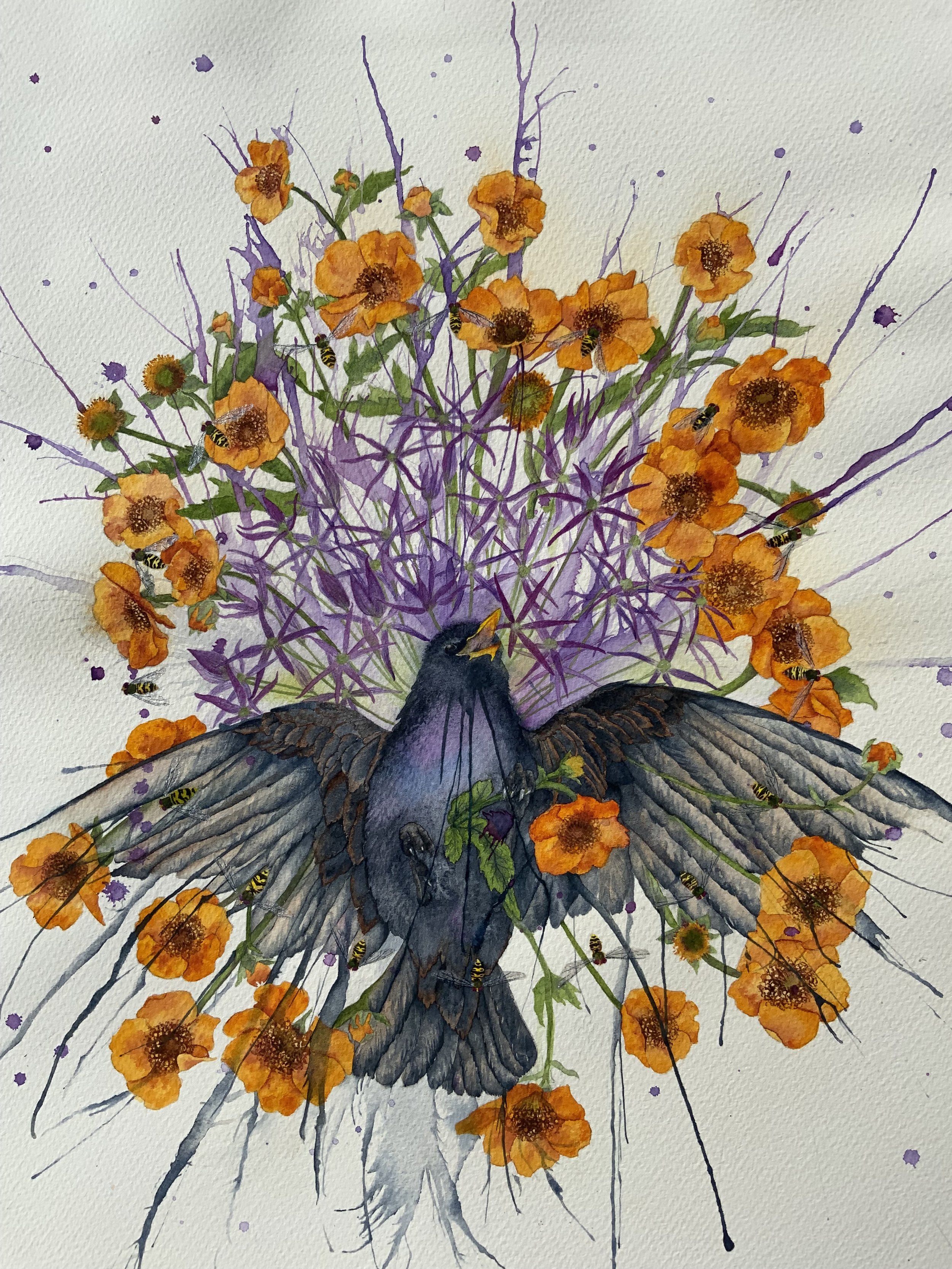 Starling and Allium - original artwork available - click to find in the shop