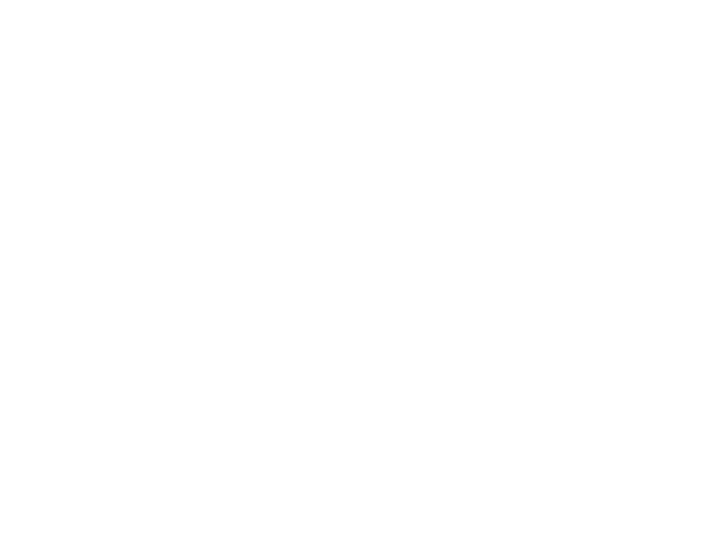 Wondrous Woods