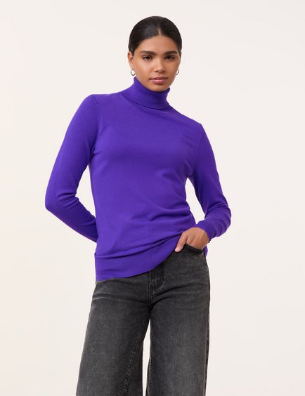 basic-jumper-with-a-turtleneck-110.jpg
