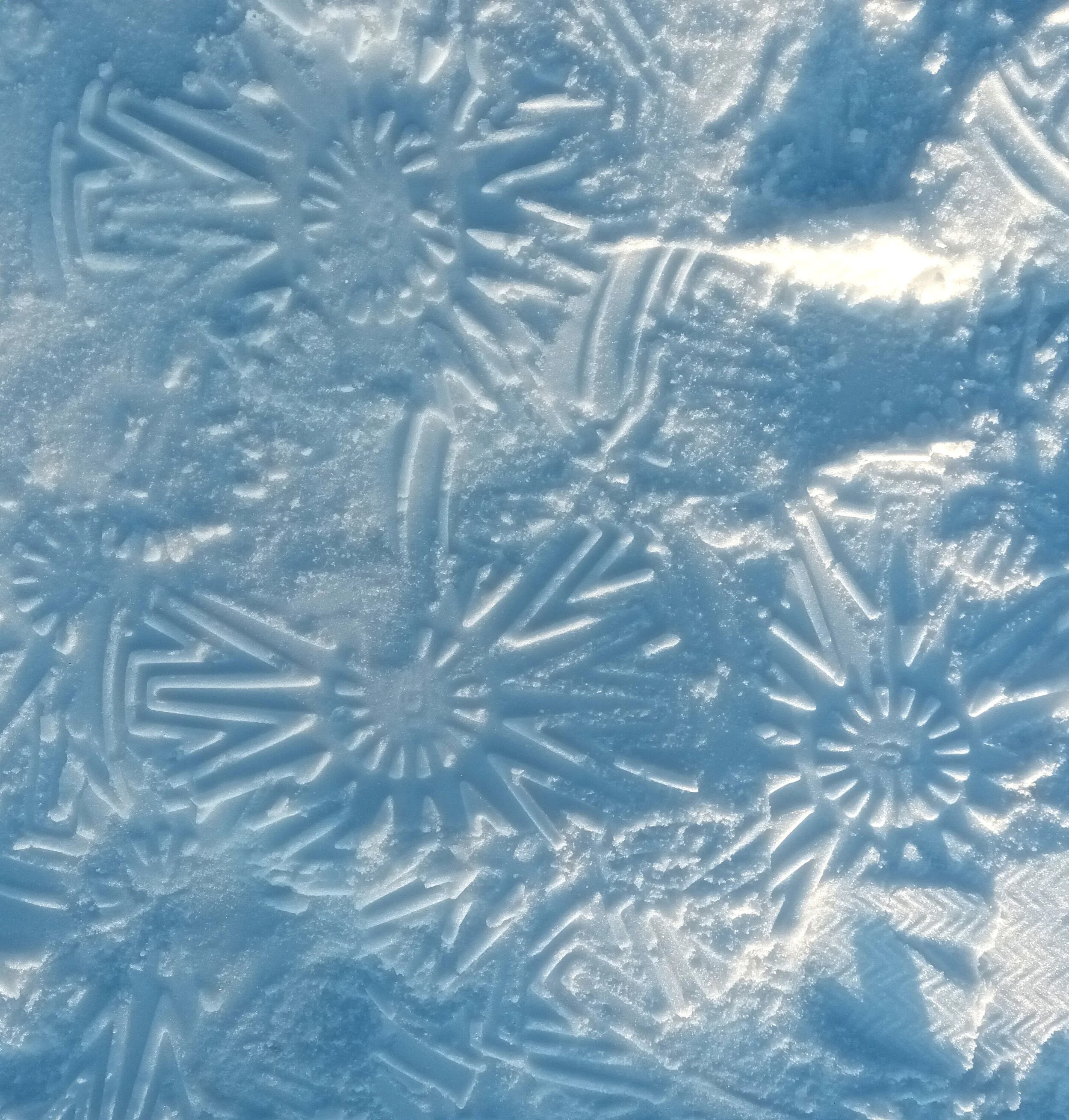 Pļaviņu kauss šahā 2026, 4. Posms.