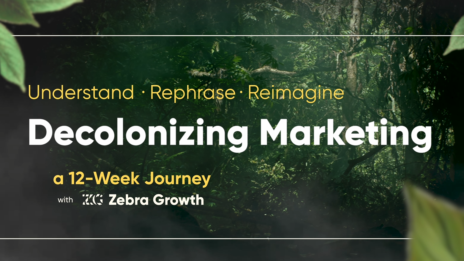 Decolonising Marketing - Zebra Growth