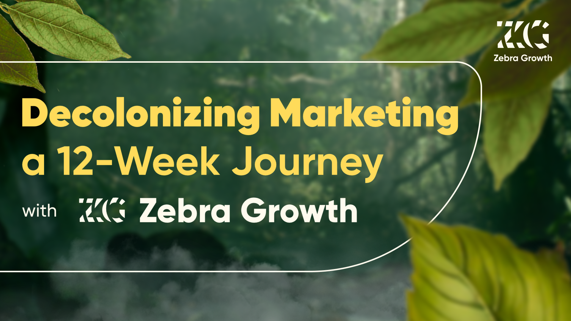 Decolonising Marketing - Zebra Growth