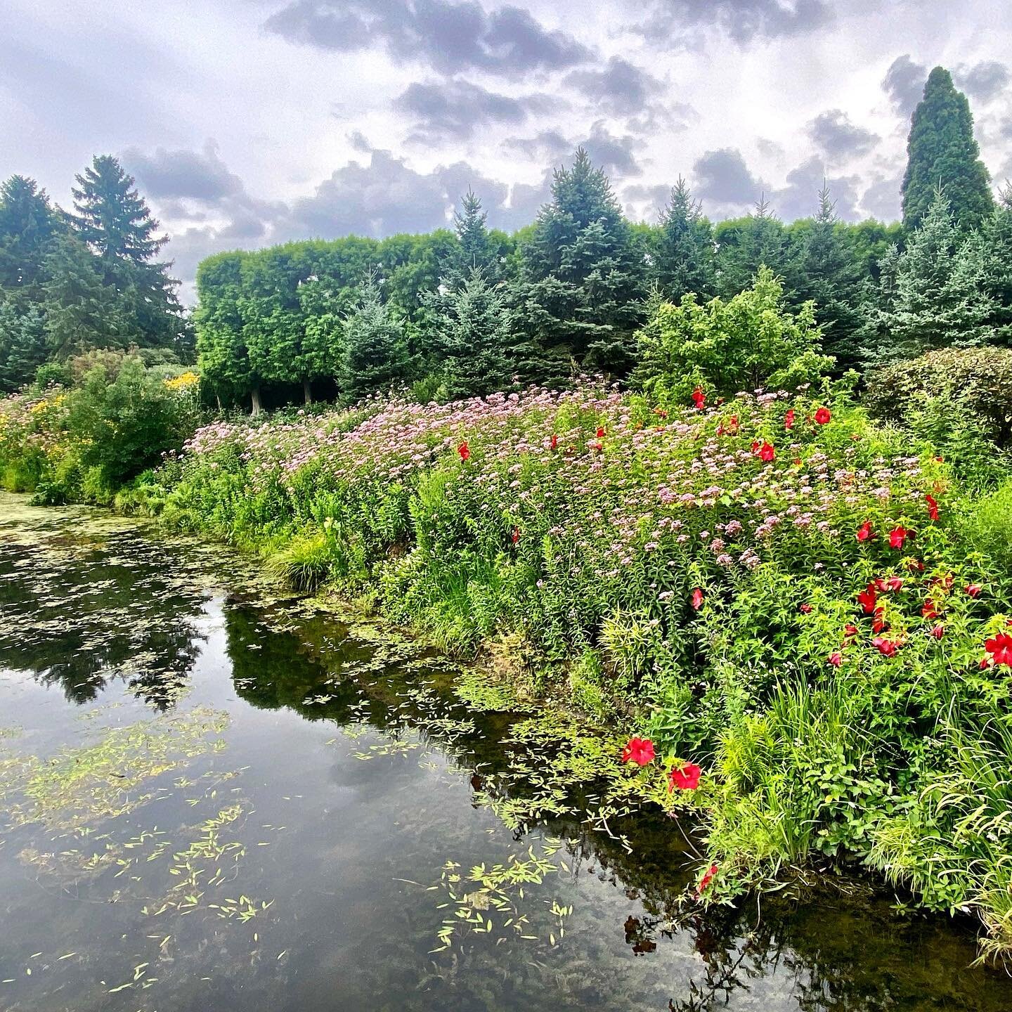 After a morning shower on the first day of August in this year of enclosure, a  sliver of  outside.
The Chicago Botanical Gardens