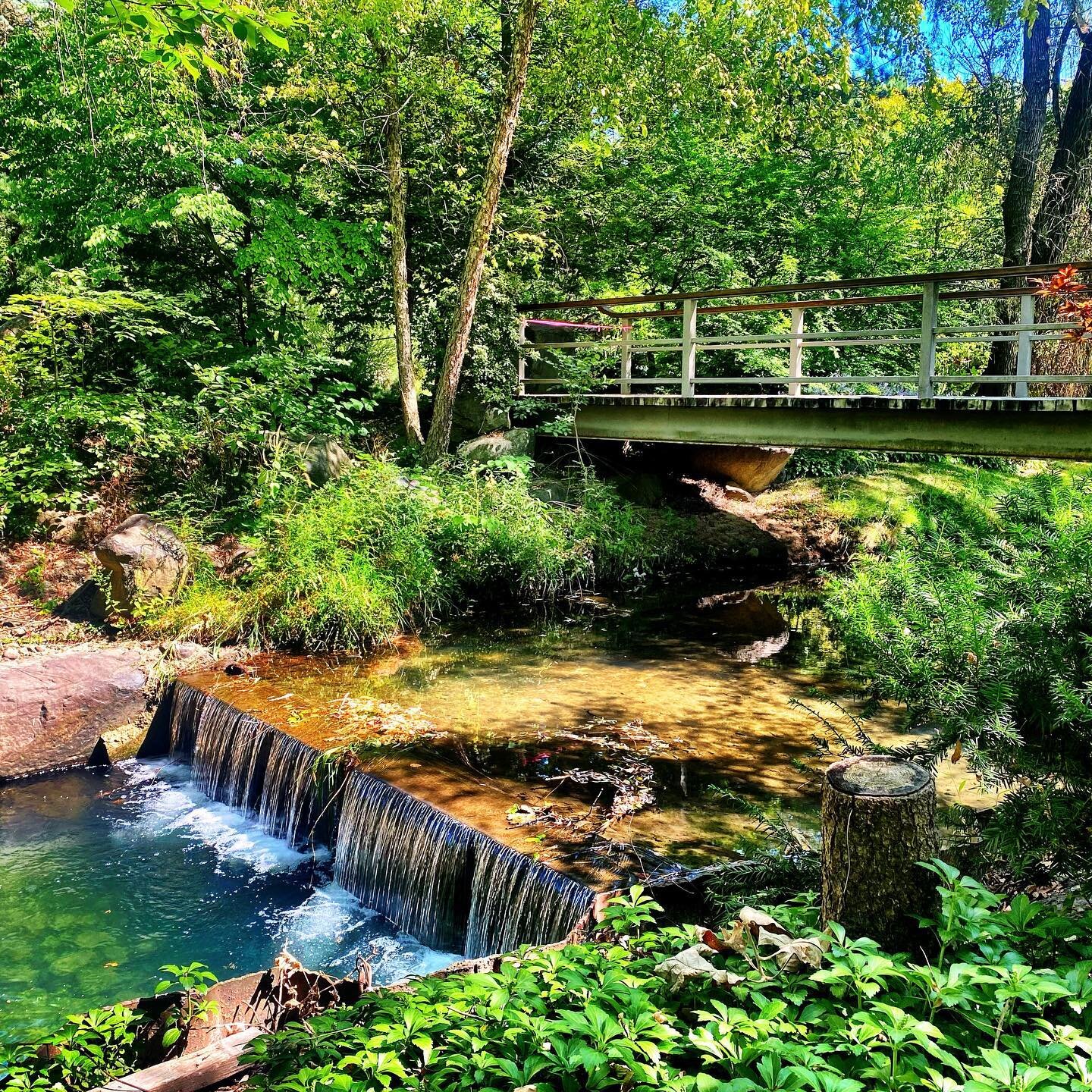 A bridge over falling water. 
Anderson Japanese Garden. Rockford. Illinois.