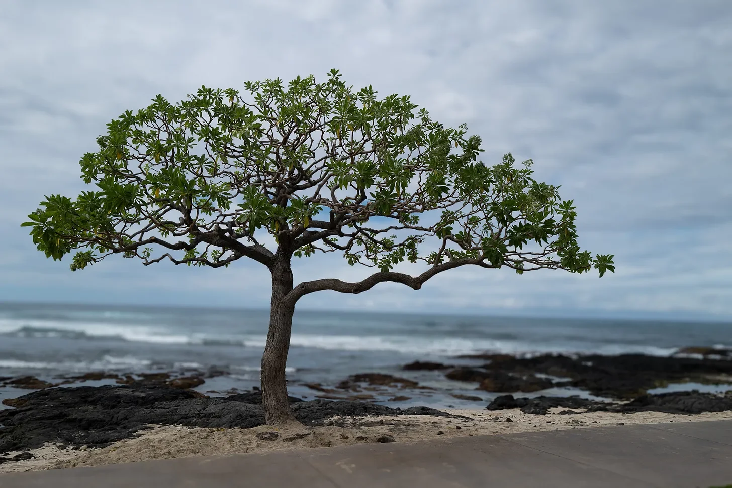 Why Creativity Will Matter More In An AI Age.