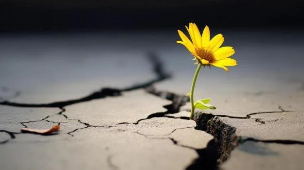 The Resilience Trap: Redefining Strength for Diverse Talent