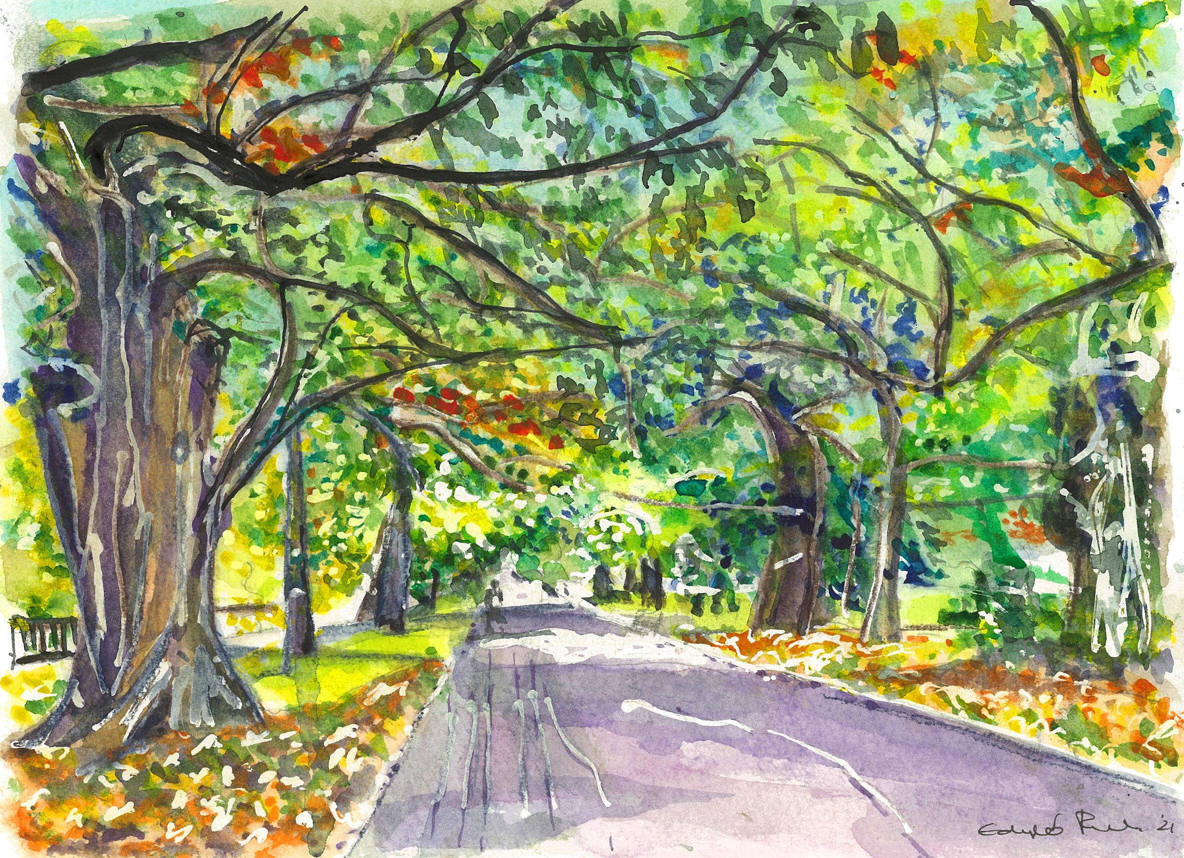 Tree-lined Path, Greenwich Park - print