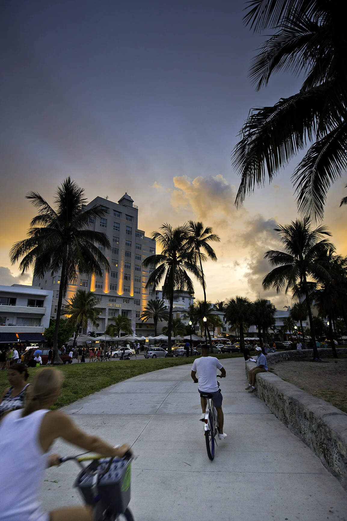 Miami Life