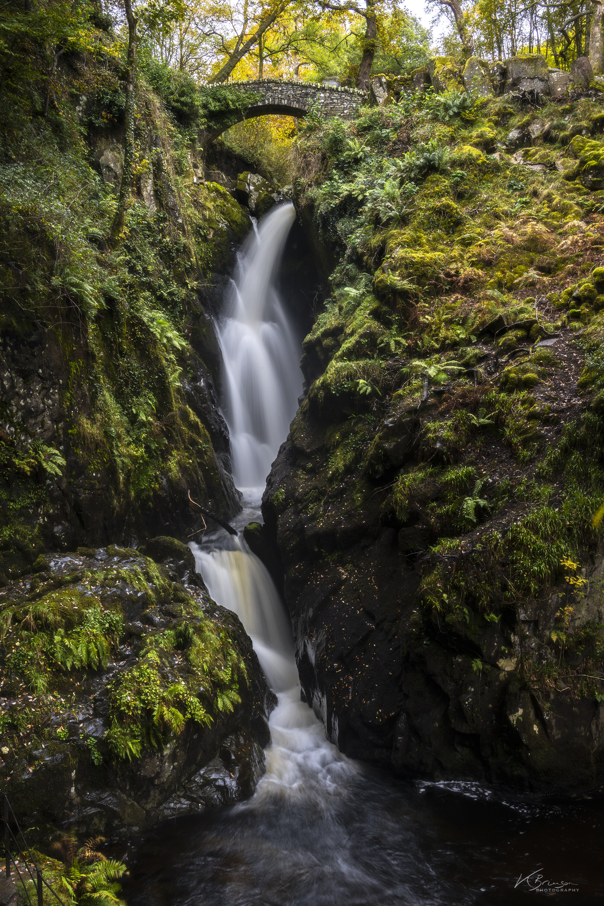 DSC_0343.jpg