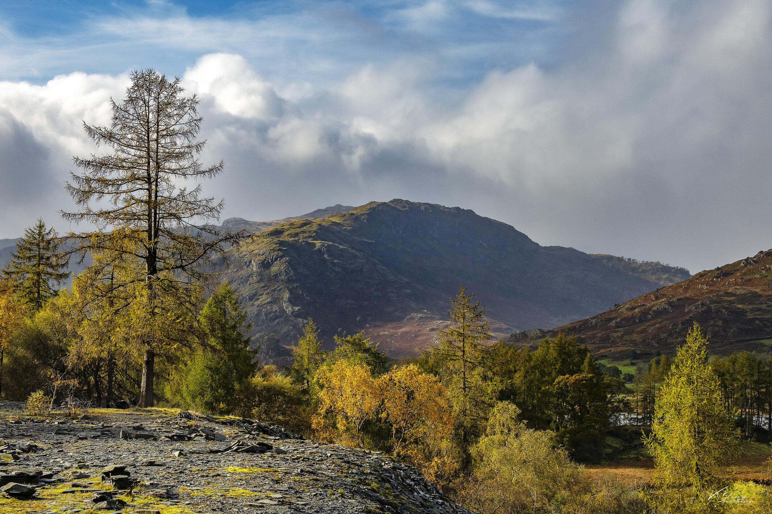 Lake District 034 - Hodge Close Quarry.jpg