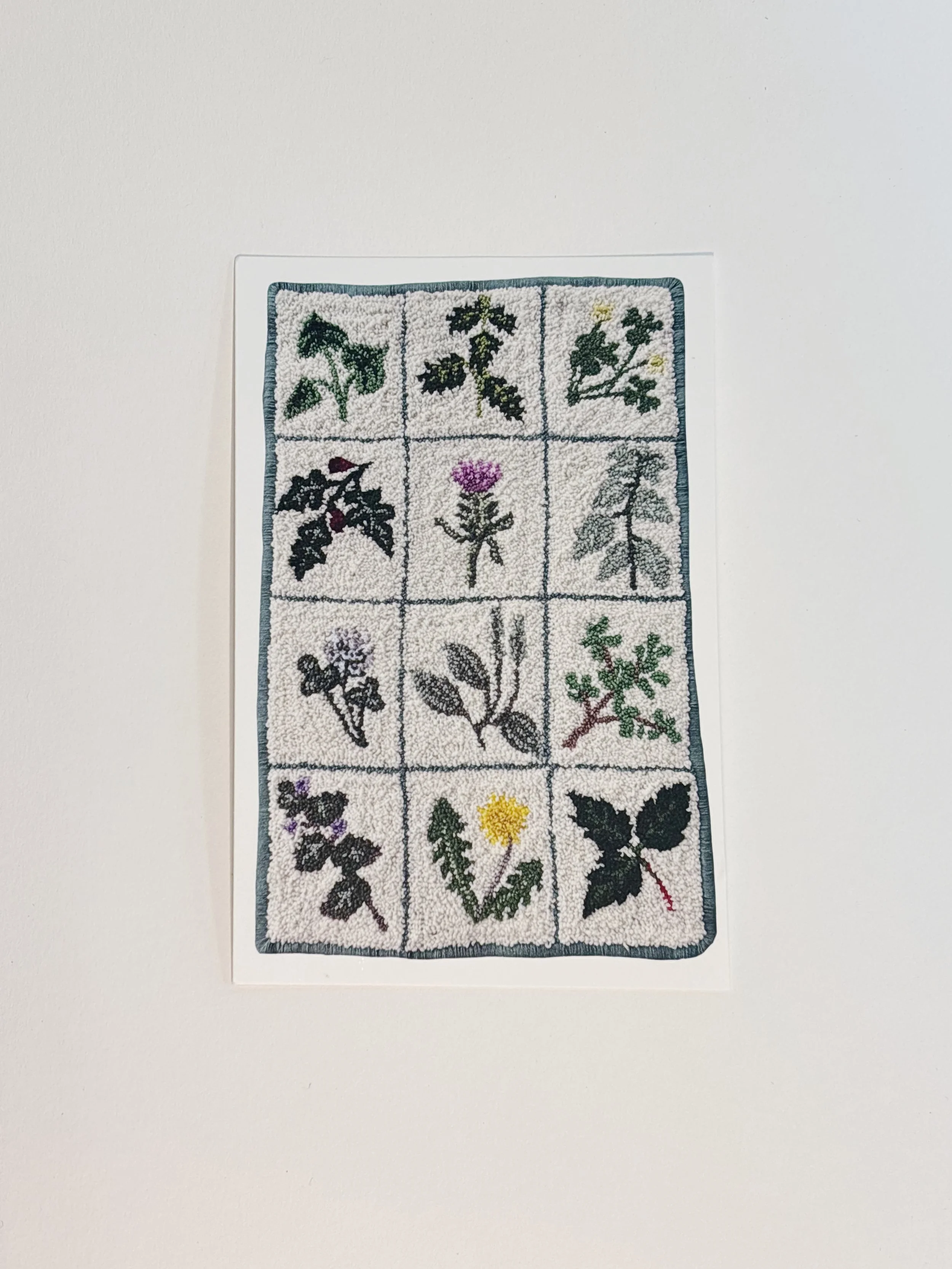 "Common Lawn Weeds" Mini Print